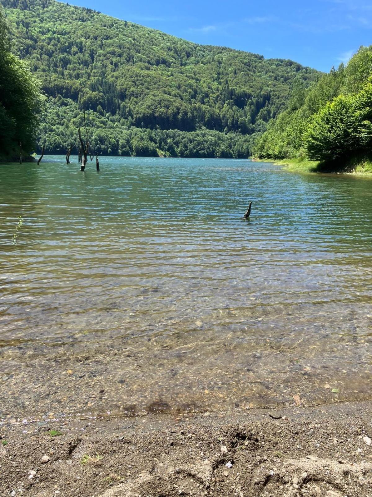 Vilabelvedere Scorilo Almafatelep Kültér fotó